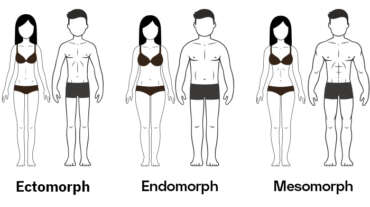 Do You Know Your Body Type? Ectomorphs, Endomorphs & Mesomorphs
